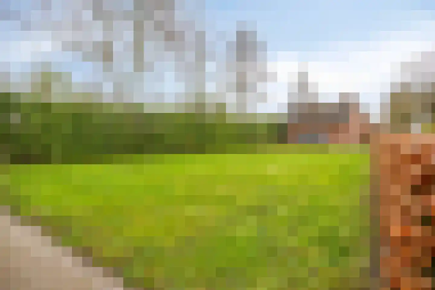 Domstraat 56 Nijkerkerveen thumbnail 38