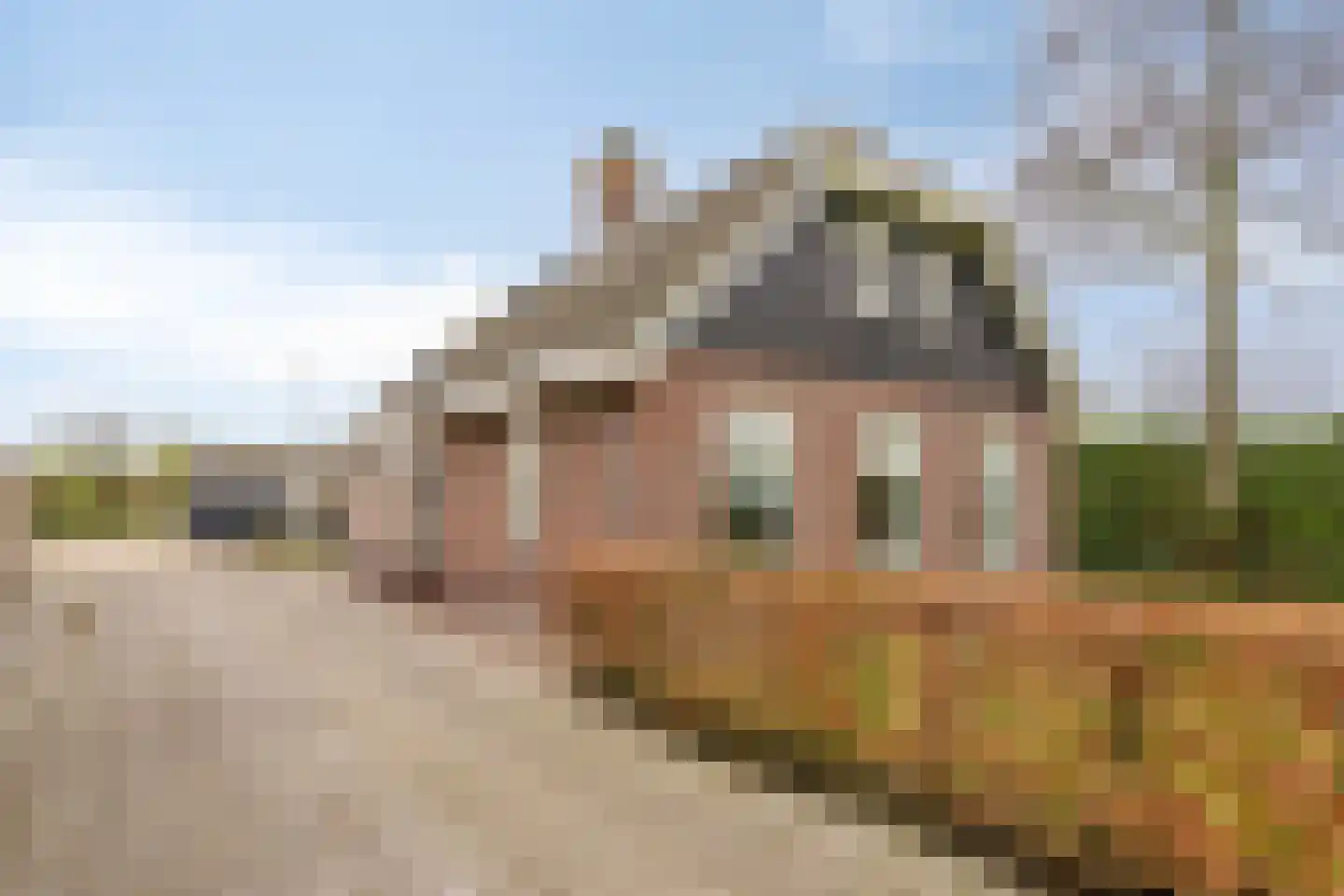 Domstraat 56 Nijkerkerveen thumbnail 5