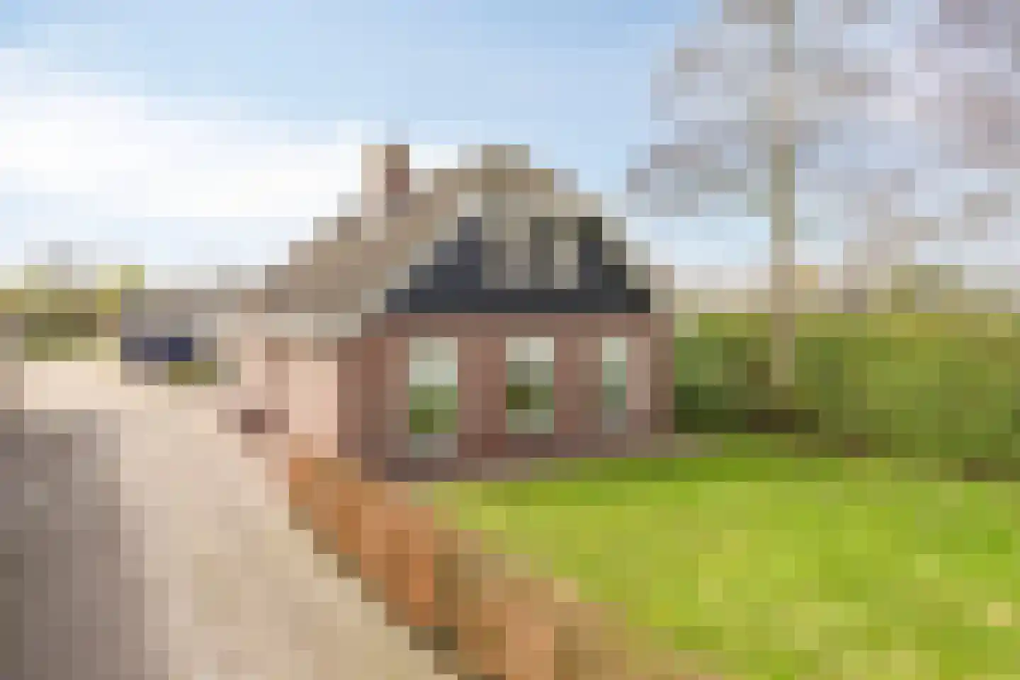 Domstraat 56 Nijkerkerveen thumbnail 7