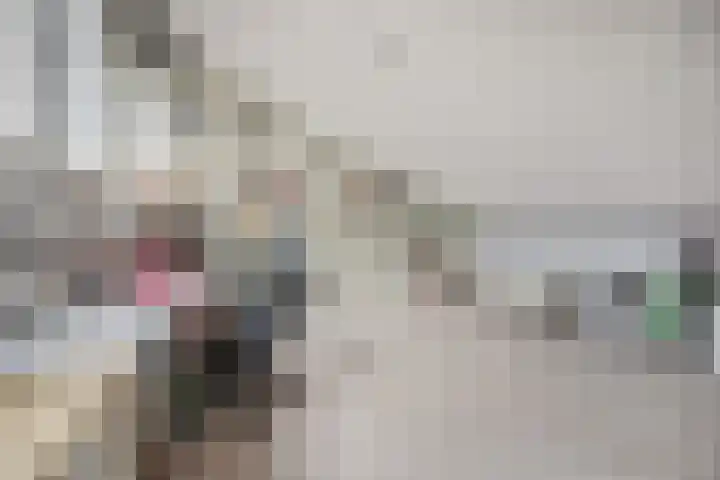 Domusoord 3 Zwijndrecht thumbnail 23