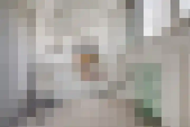 Domusoord 3 Zwijndrecht thumbnail 25