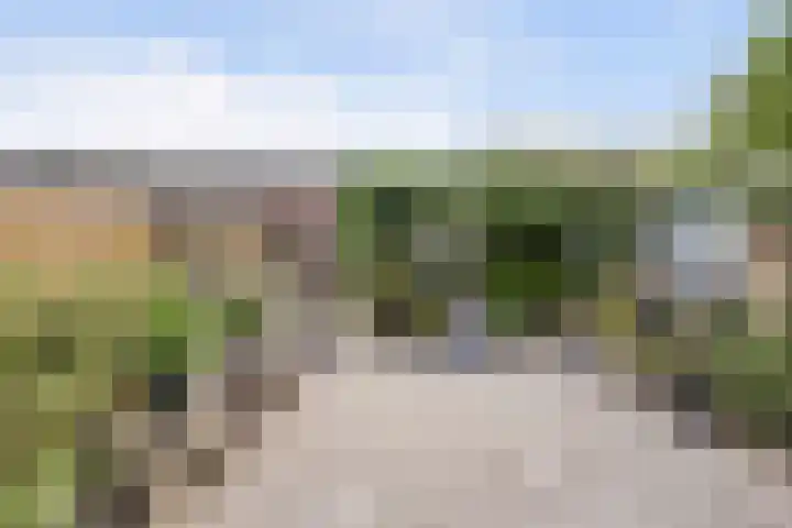 Domusoord 3 Zwijndrecht thumbnail 28