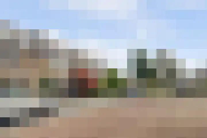 Domusoord 3 Zwijndrecht thumbnail 35