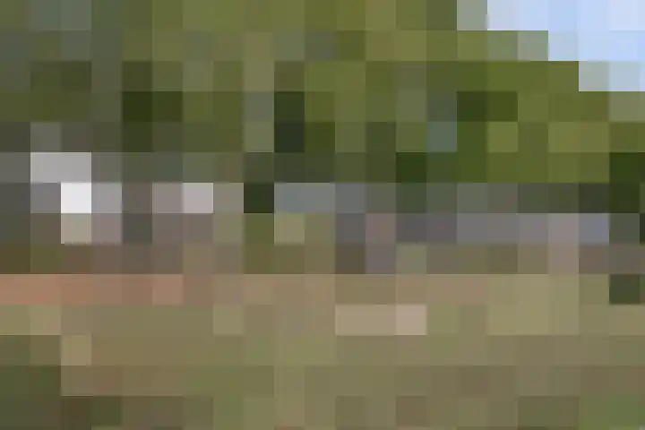 Domusoord 3 Zwijndrecht thumbnail 36