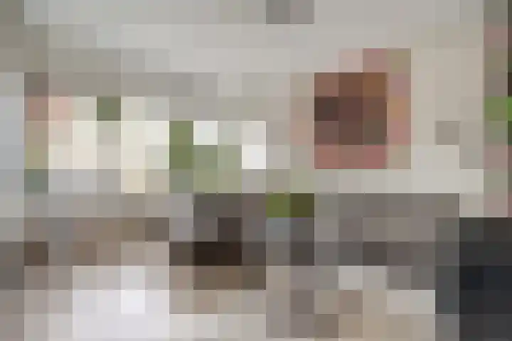 Domusoord 3 Zwijndrecht thumbnail 5