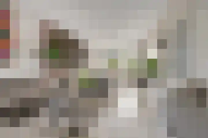 Domusoord 3 Zwijndrecht thumbnail 6