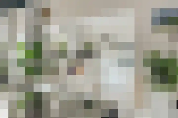 Domusoord 3 Zwijndrecht thumbnail 8