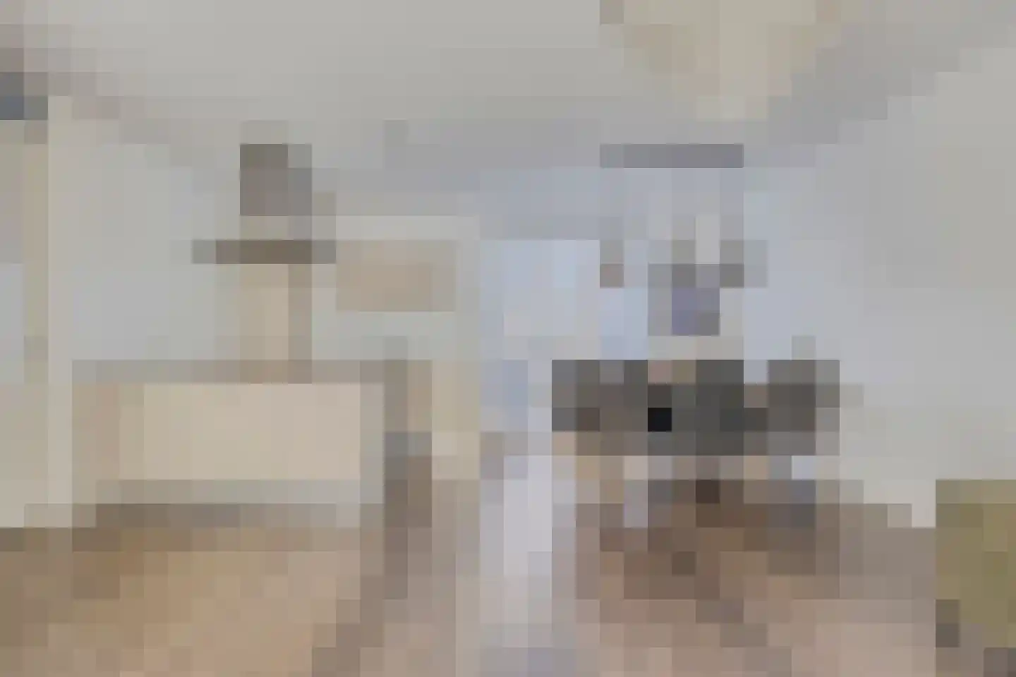 Don Boscohof 20 Heel thumbnail 13
