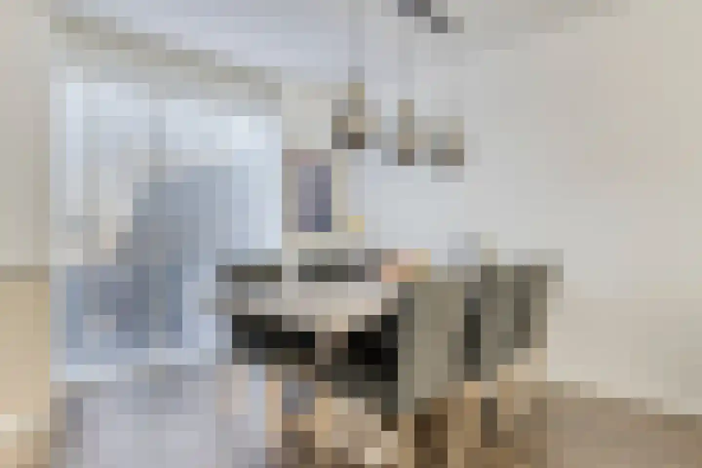 Don Boscohof 20 Heel thumbnail 14