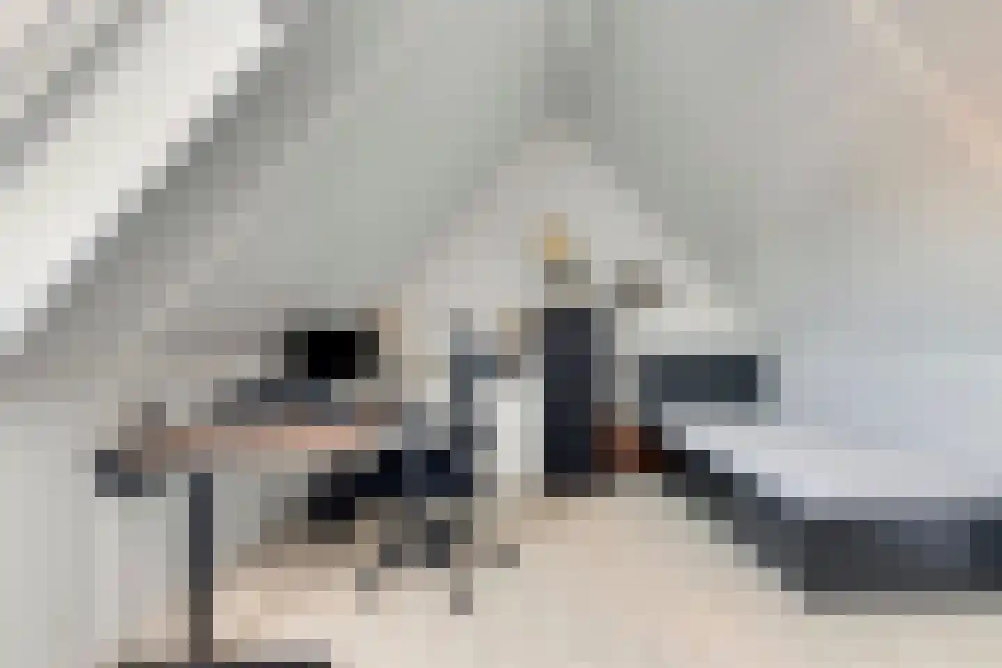 Don Boscohof 20 Heel thumbnail 32