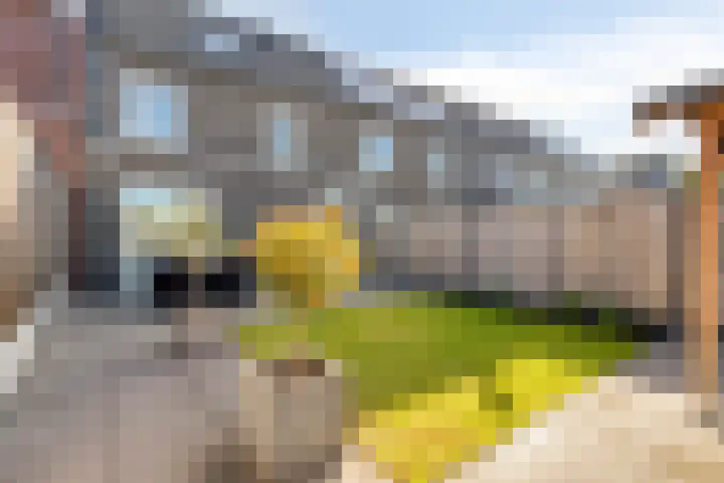 Don Boscohof 20 Heel thumbnail 37