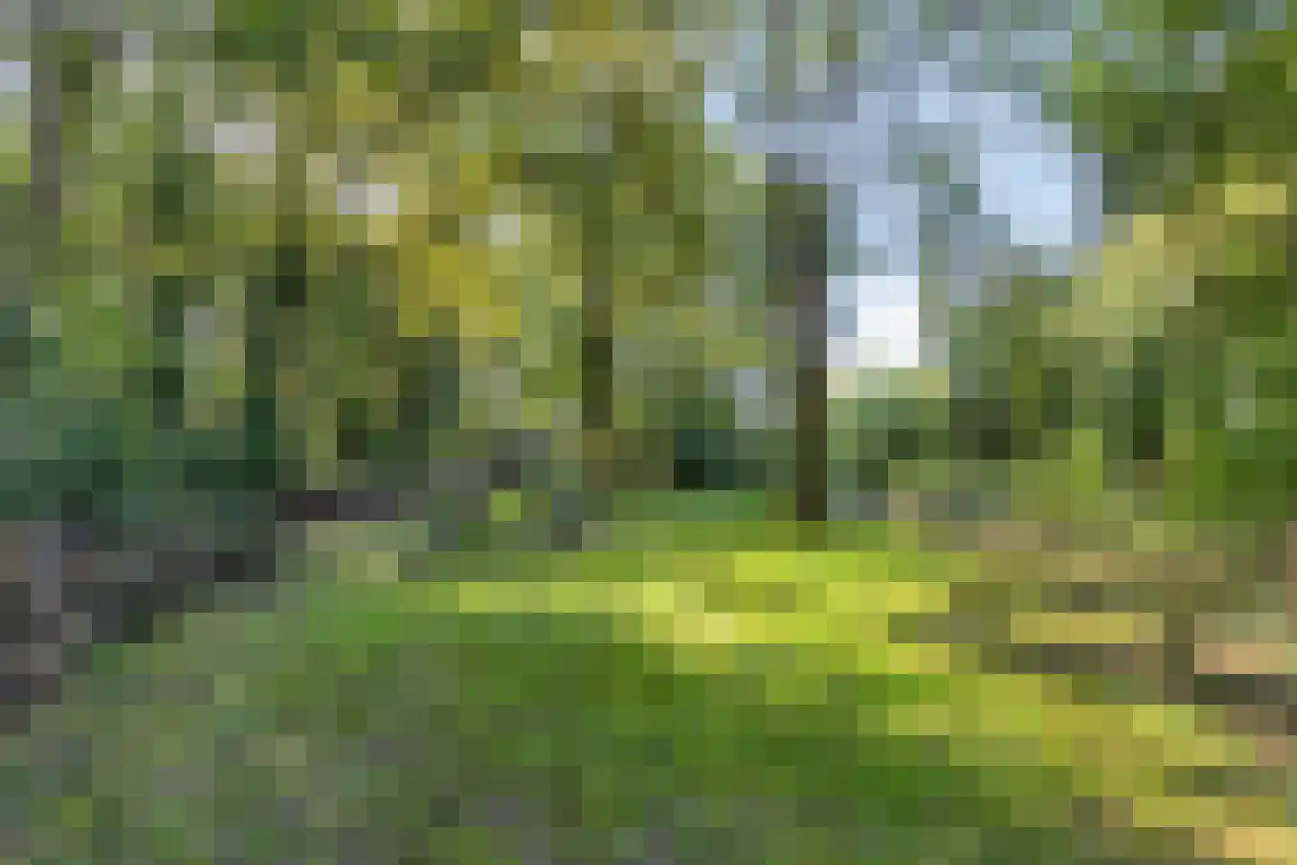 Don Boscohof 20 Heel thumbnail 44