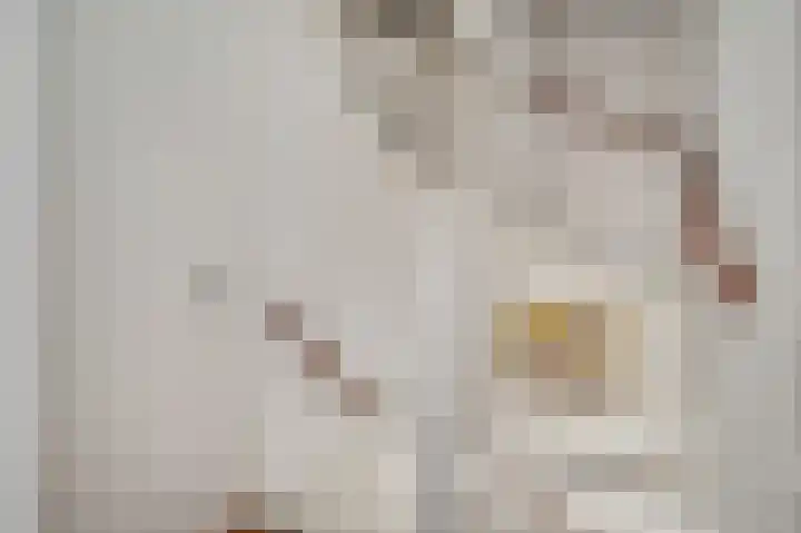 Don Boscohof 30 Heel thumbnail 13
