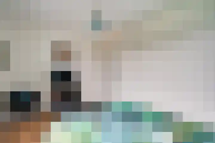 Don Boscohof 30 Heel thumbnail 15
