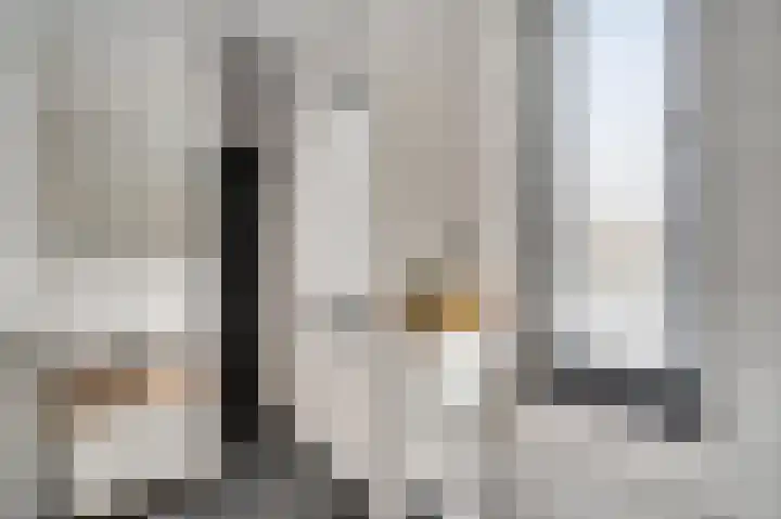Don Boscohof 30 Heel thumbnail 18