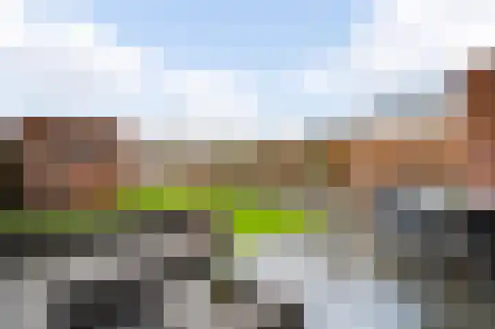 Don Boscohof 30 Heel thumbnail 24