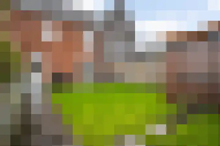 Don Boscohof 30 Heel thumbnail 26
