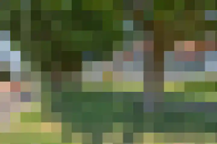 Don Boscolaan 19 Amstelveen thumbnail 35