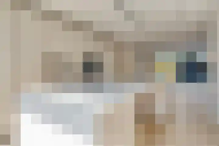 Don Boscolaan 19 Amstelveen thumbnail 9