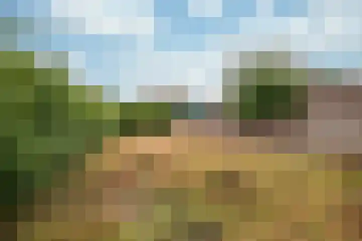 Don Boscolaan 22 Landgraaf thumbnail 17