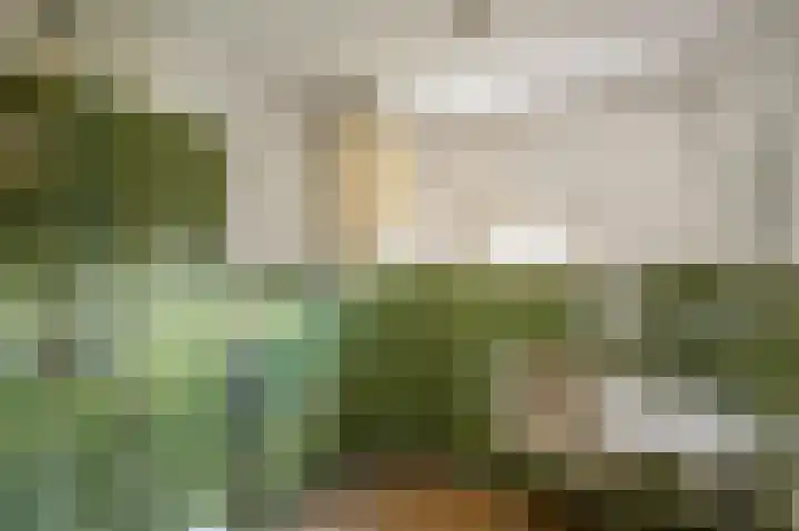 Don Boscolaan 22 Landgraaf thumbnail 8