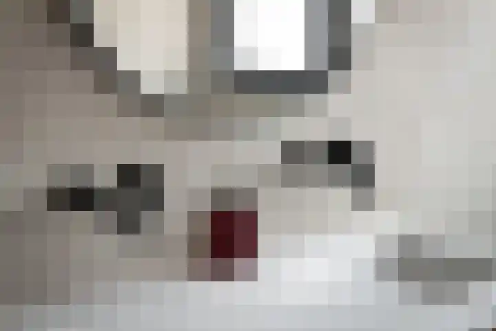 Don Boscolaan 24 Amstelveen thumbnail 18