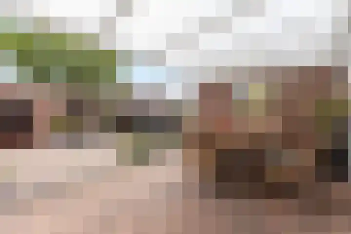 Don Boscolaan 60 Landgraaf thumbnail 24