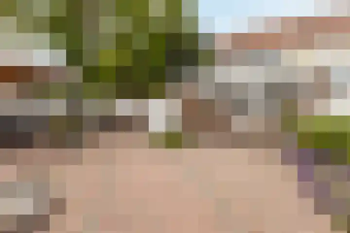 Don Boscolaan 60 Landgraaf thumbnail 26