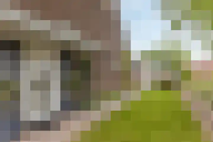 Don Boscolaan 60 Landgraaf thumbnail 28
