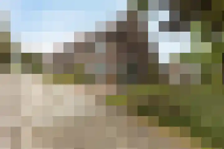 Don Boscolaan 60 Landgraaf thumbnail 30