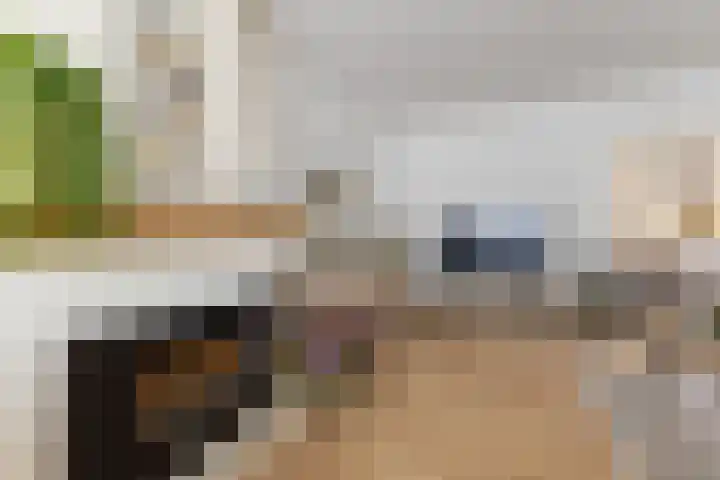 Don Boscolaan 60 Landgraaf thumbnail 5