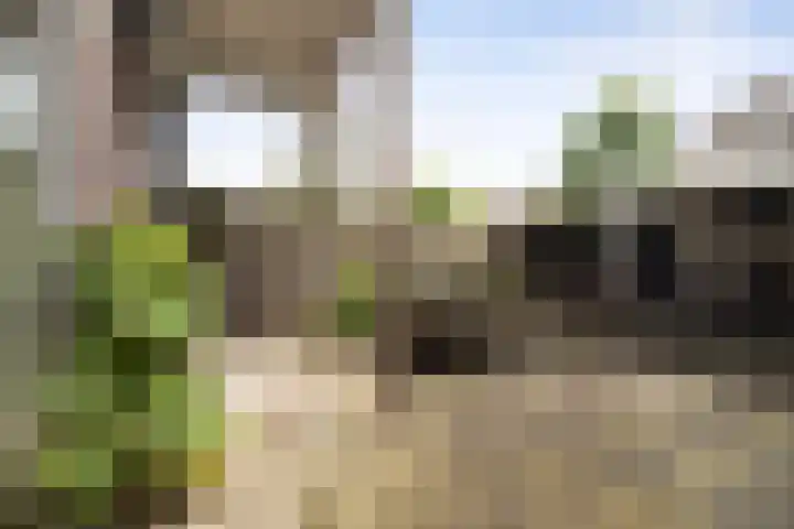 Don Boscoplein 1 D Breda thumbnail 17