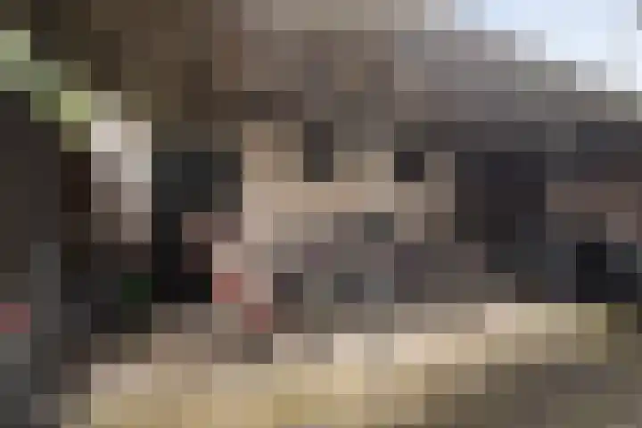 Don Boscoplein 1 D Breda thumbnail 18