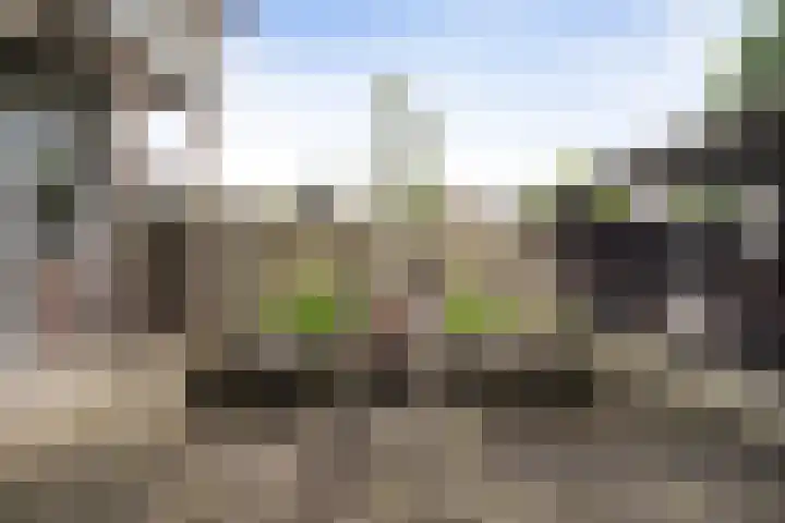 Don Boscoplein 1 D Breda thumbnail 19