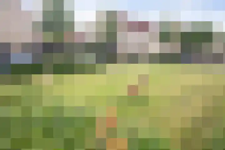 Don Boscoplein 1 D Breda thumbnail 21