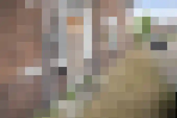 Don Boscoplein 1 D Breda thumbnail 7