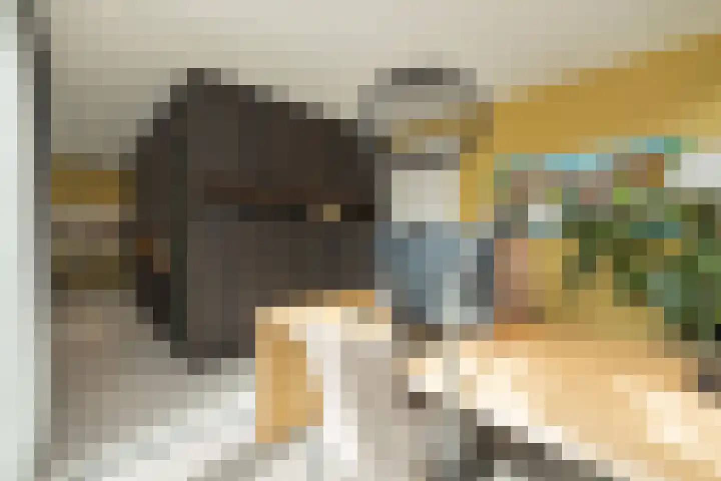 Don Boscostraat 1 Lisse thumbnail 16