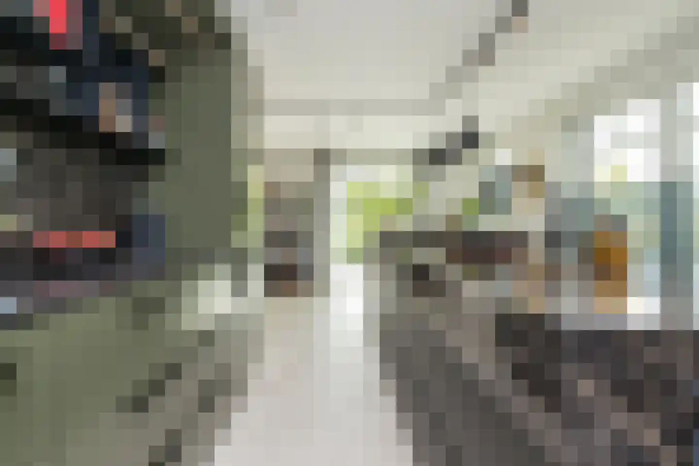 Don Boscostraat 1 Lisse thumbnail 22