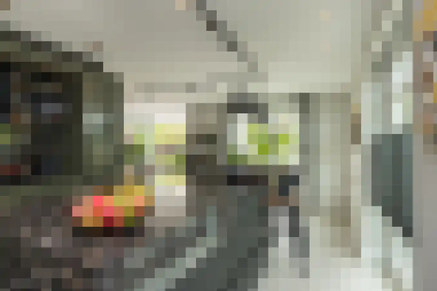 Don Boscostraat 1 Lisse thumbnail 23