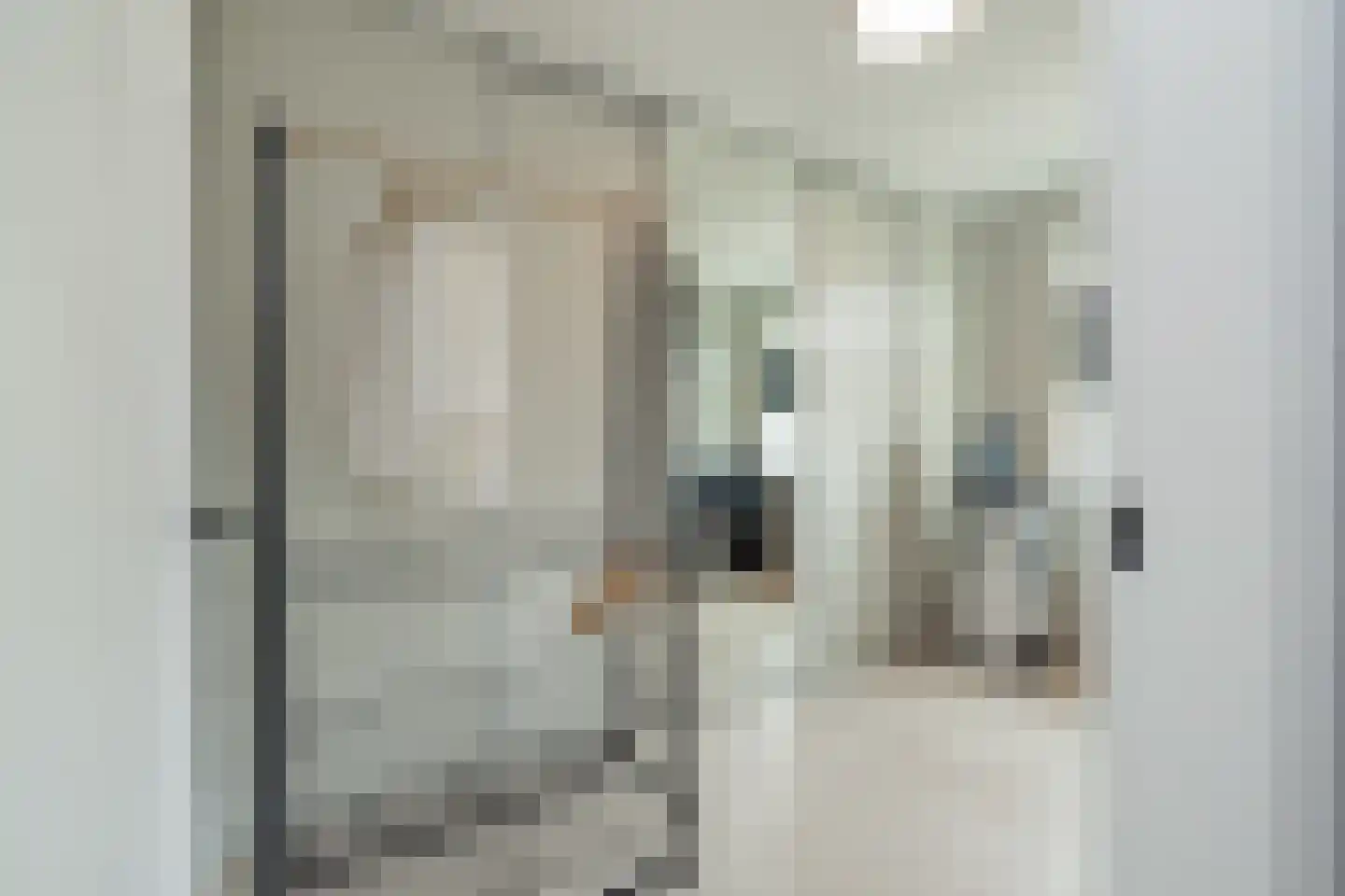 Don Boscostraat 1 Lisse thumbnail 27