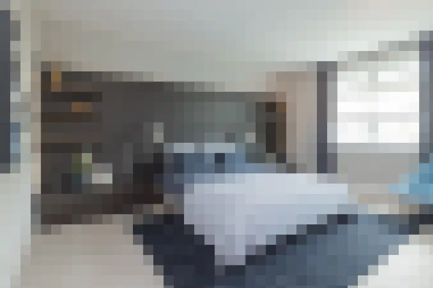 Don Boscostraat 1 Lisse thumbnail 31