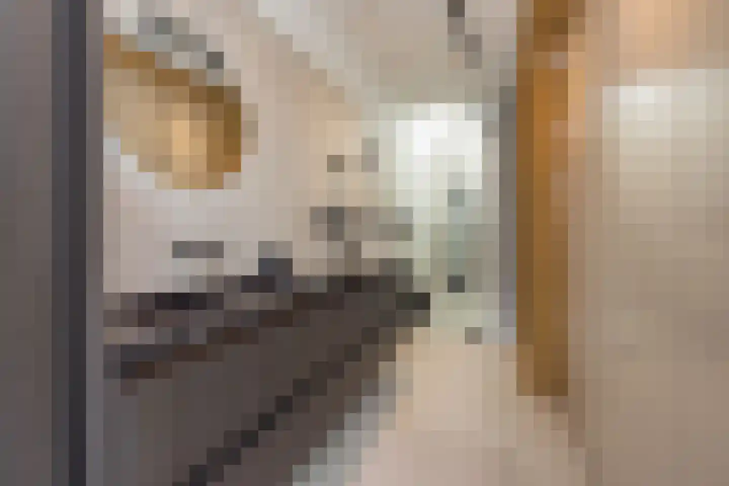 Don Boscostraat 1 Lisse thumbnail 34