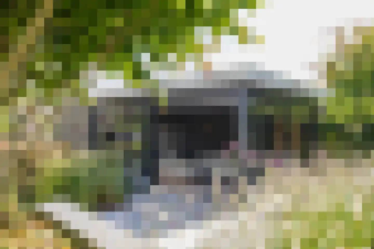 Don Boscostraat 1 Lisse thumbnail 4