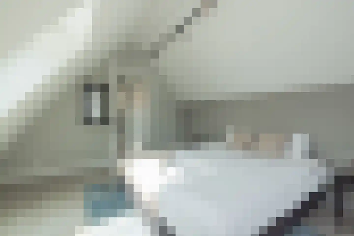Don Boscostraat 1 Lisse thumbnail 43