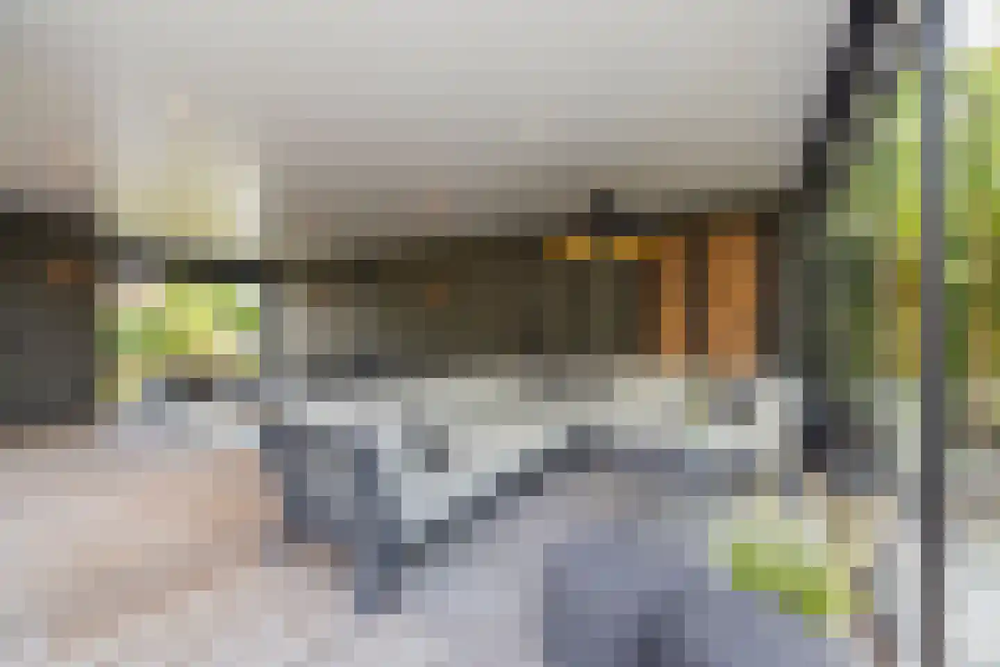 Don Boscostraat 1 Lisse thumbnail 50