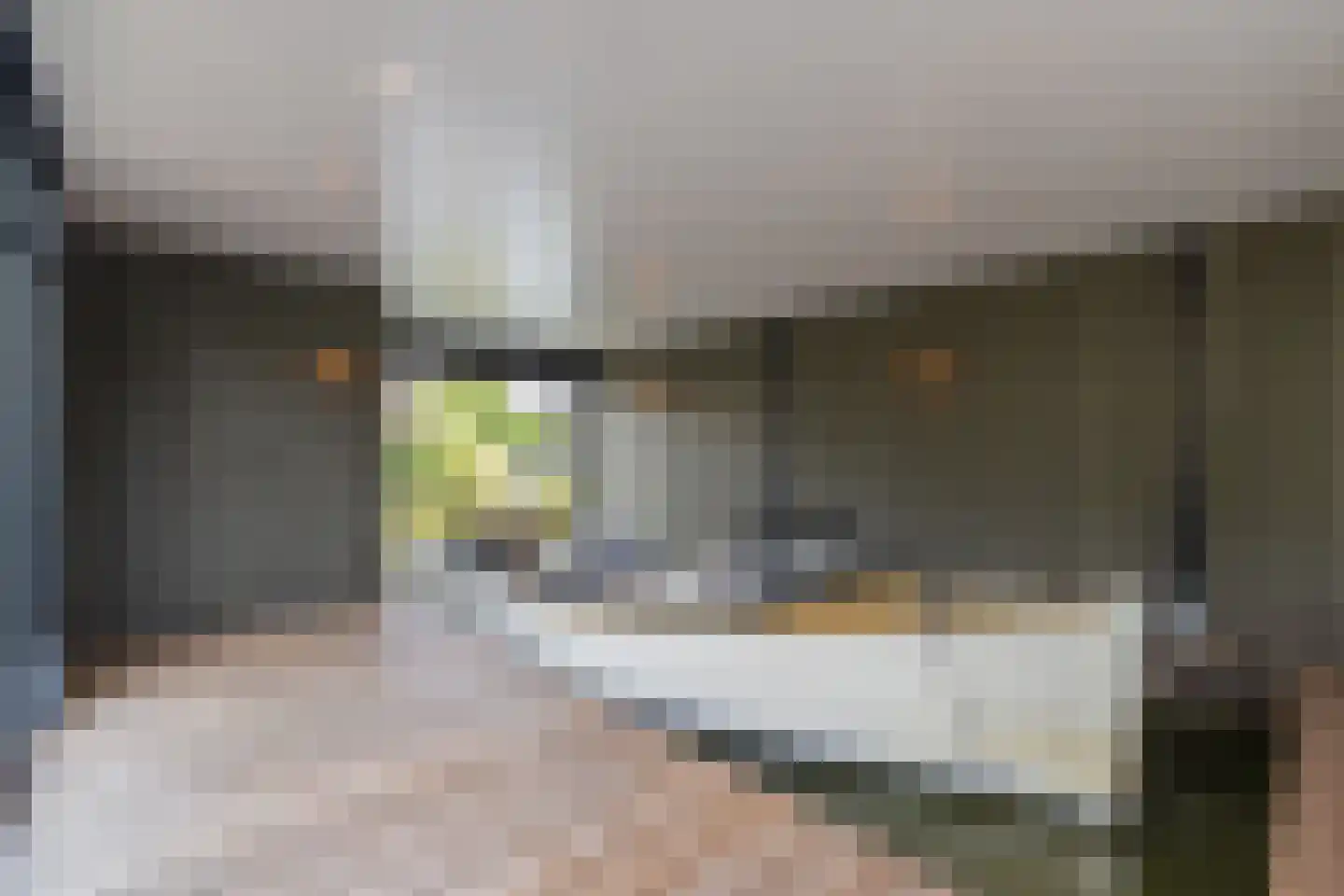 Don Boscostraat 1 Lisse thumbnail 51