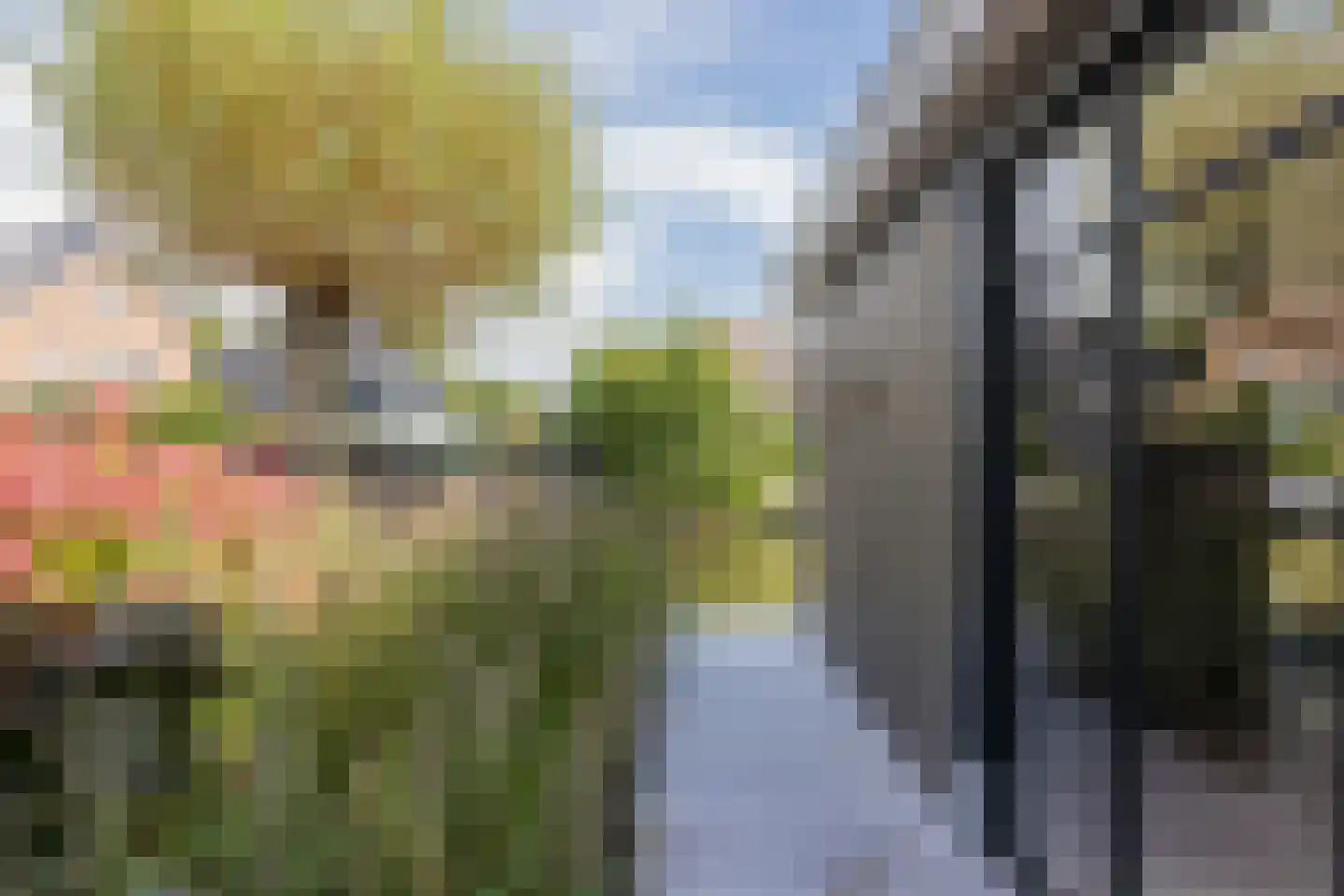 Don Boscostraat 1 Lisse thumbnail 53