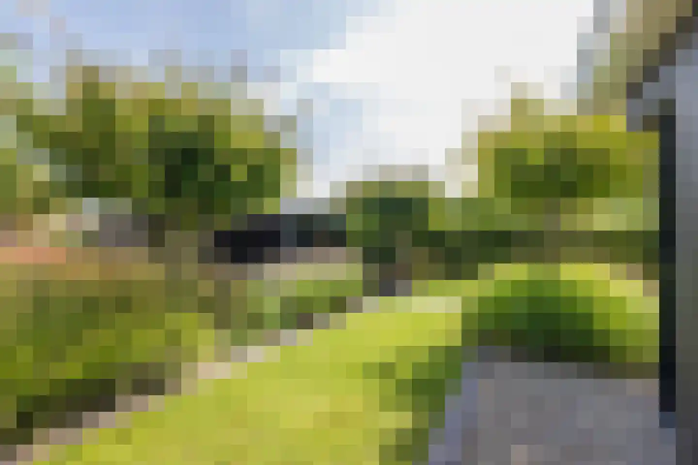 Don Boscostraat 1 Lisse thumbnail 56