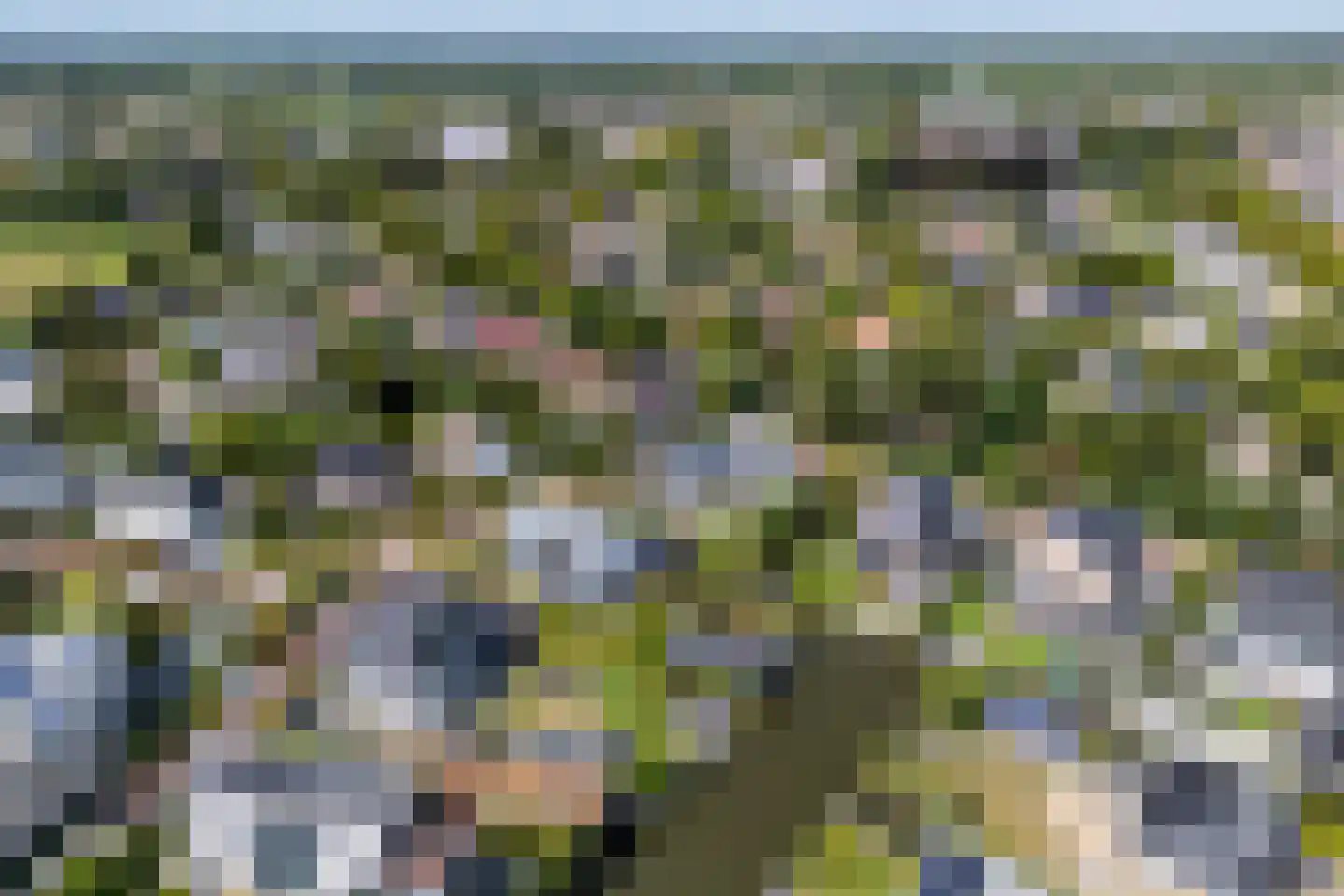 Don Boscostraat 1 Lisse thumbnail 64