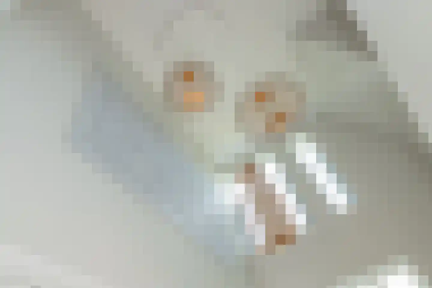 Don Boscostraat 1 Lisse thumbnail 7